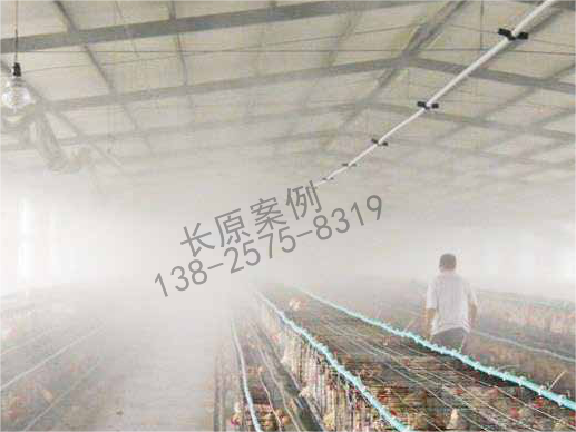 工業噴霧系統的多功能應用：從降溫到空氣凈化的全面解決方案